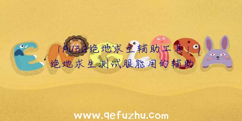 「PUBG绝地求生辅助工具」|绝地求生测试服能用的辅助